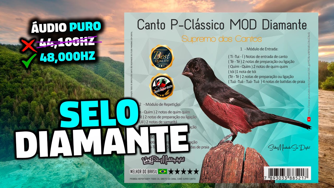 Curió Canto Praia Clássico Selo Diamante ♪