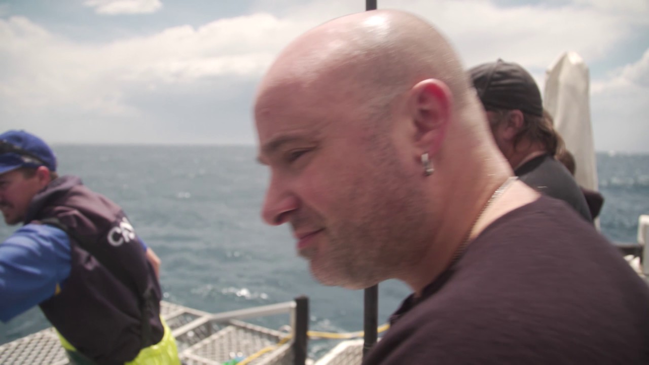 Disturbed On Tour: Port Lincoln Shark Cage Dive