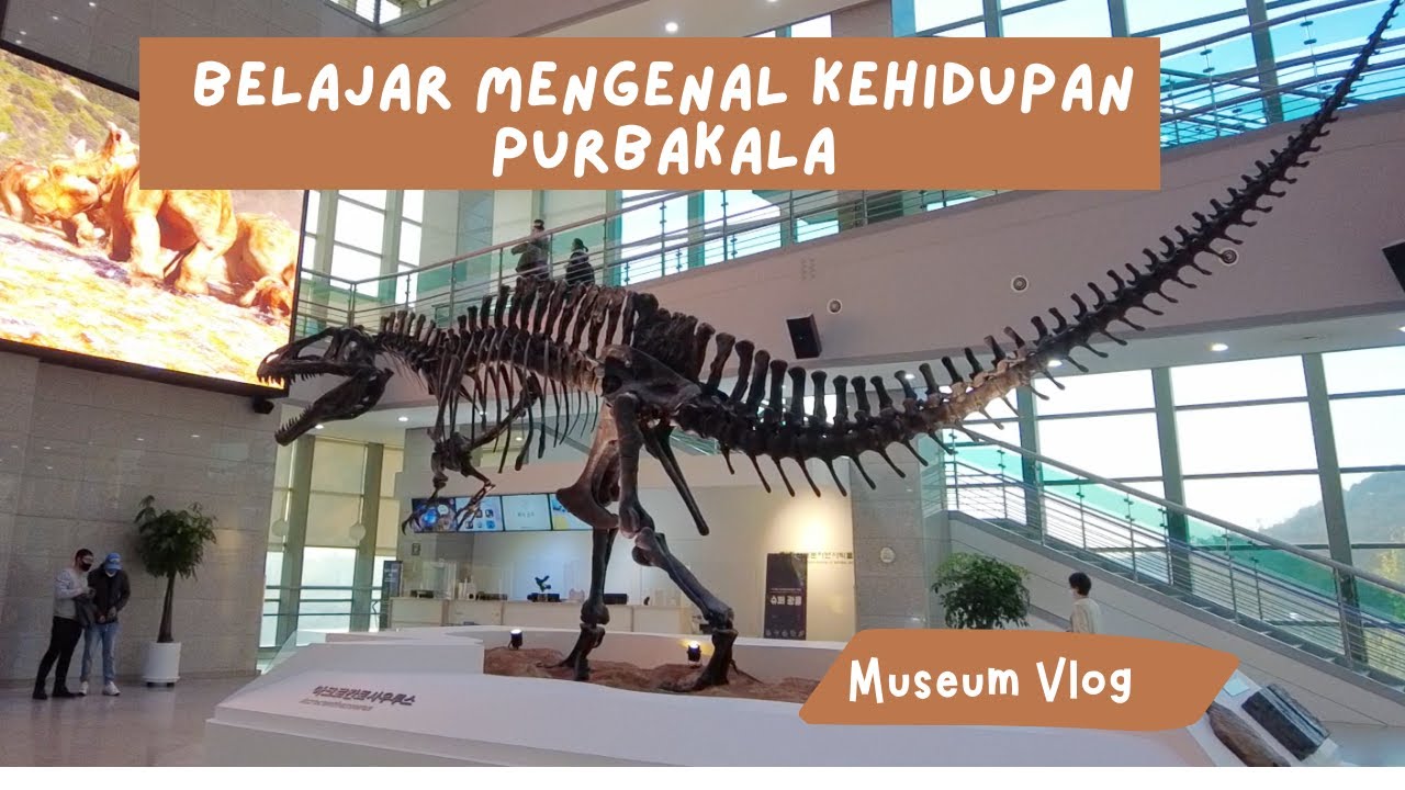 Seodaemun Museum of Natural History |  서대문자연사박물관