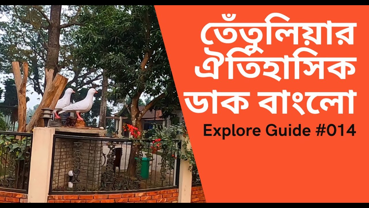 তেঁতুলিয়া ডাক বাংলো | Explore Guide | Tetulia Dak Bungalow | পঞ্চগড় ডাক বাংলো | DC Banglo |  Banglo