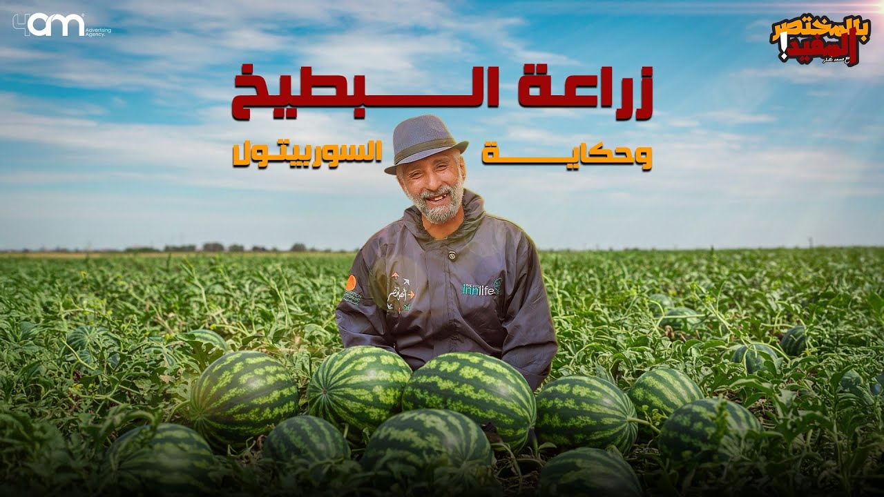 كيف تنجح في زراعة البطيخ في المنزل بسهولة - الجديد في استخدامات السوربيتول في الزراعة