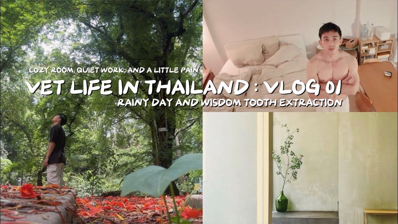 Living Alone in Bangkok  | Life as a Vet After Wisdom Tooth Surgery, Cozy Bangkok Day