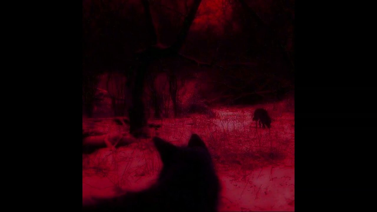 (FREE) $UICIDEBOY$ x ETHELWULF TYPE BEAT - 