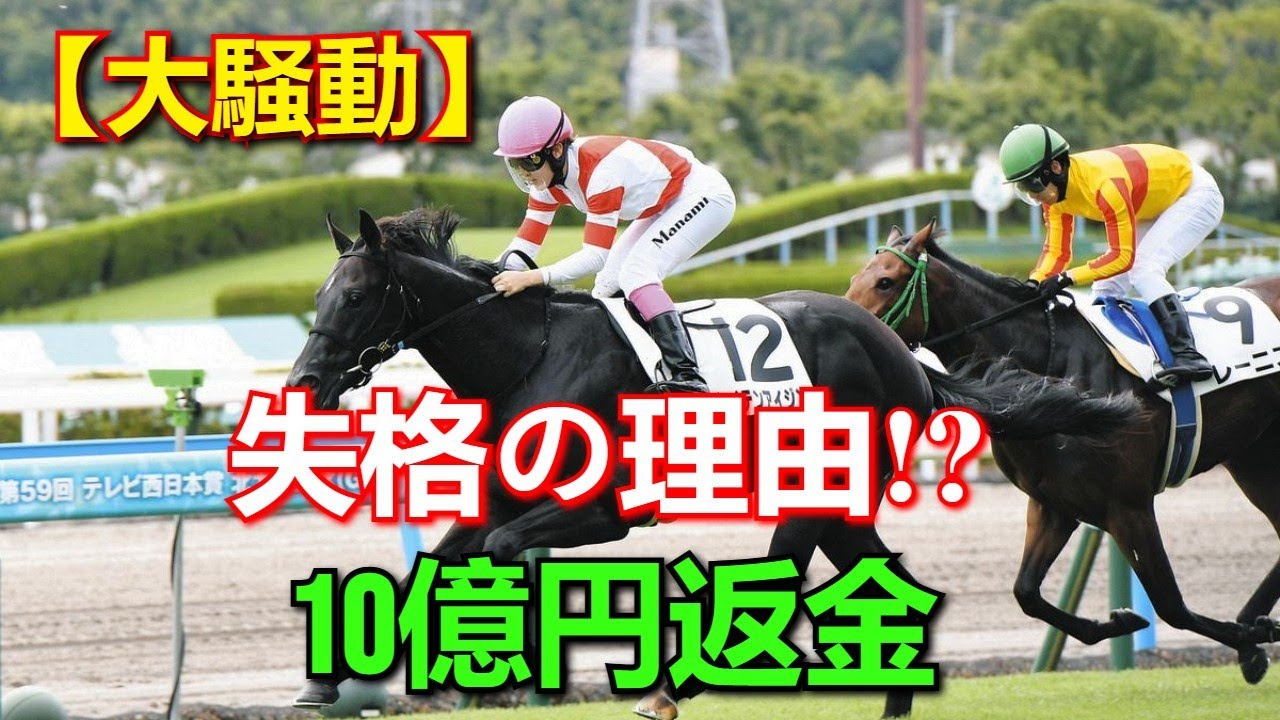 なぜ3頭が消えた？11頭立てレースで発生した「異例の除外劇」と10億円以上の返還騒動の全貌【現地証言】