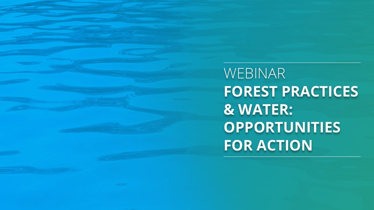FPB Webinar Forest Practices and Water
