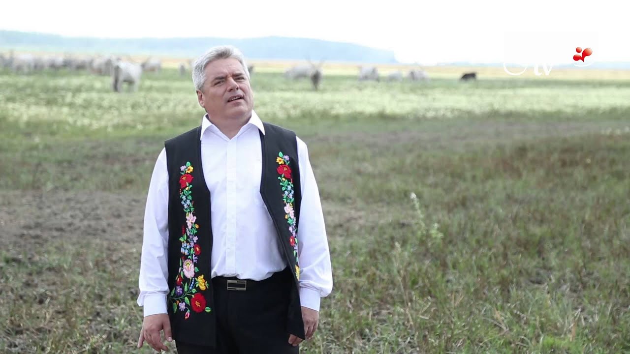 Nádasdi László - Megállok a keresztútnál
