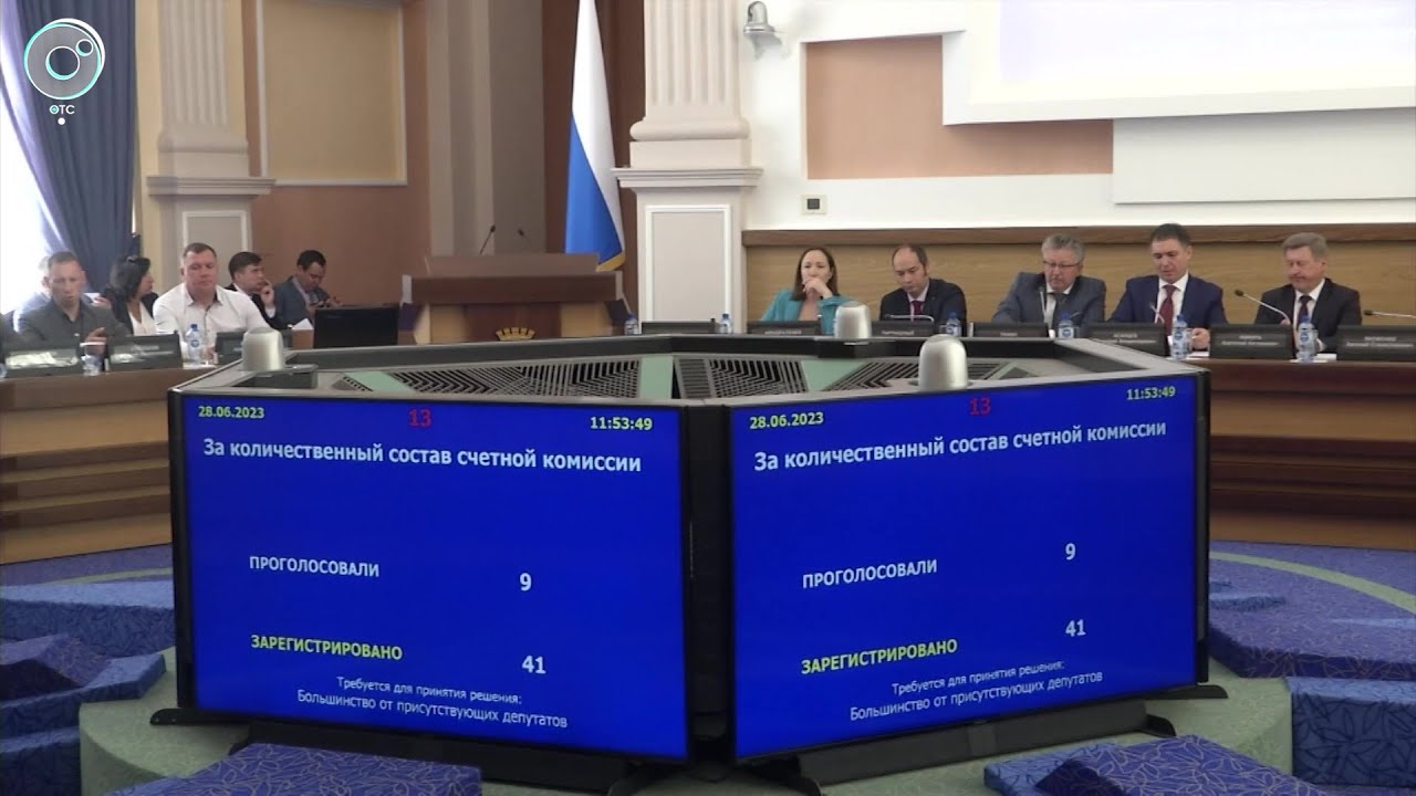 Горсовет лишил полномочий депутатов Сергея Бойко и Хельгу Пирогову