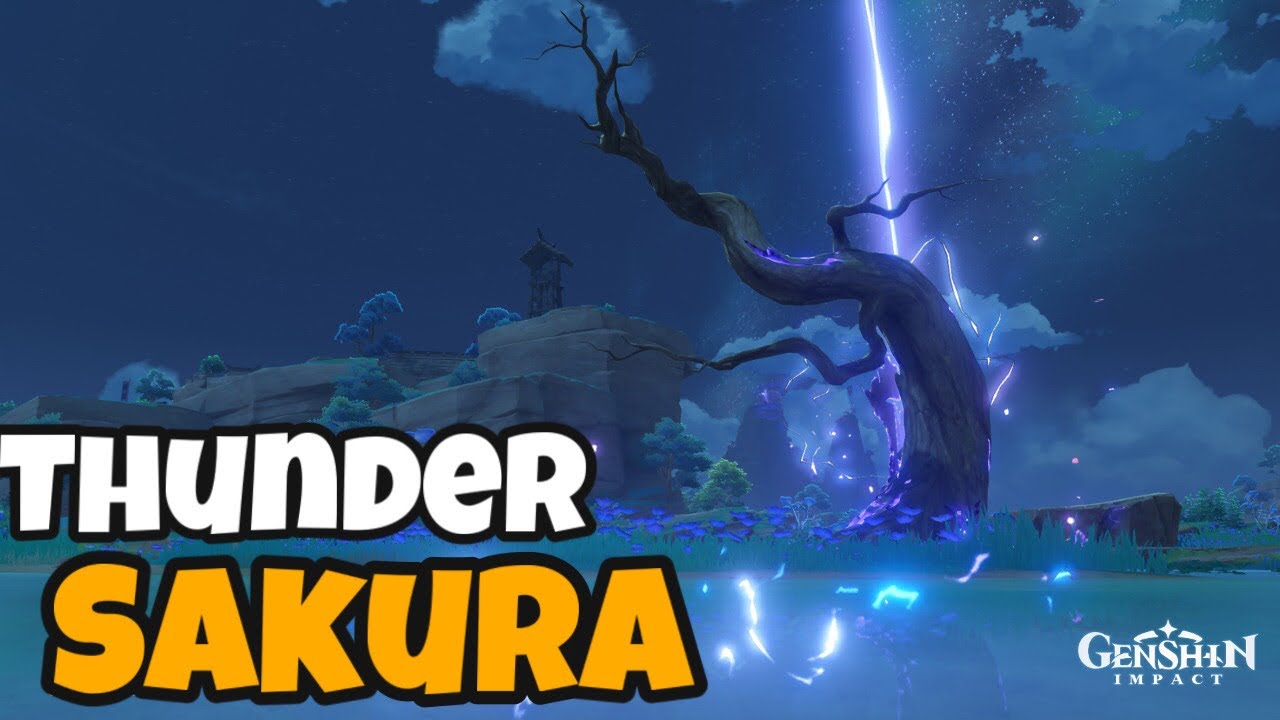 Quest Dunia Obat Sakura | Lokasi Thunder Sakura | Genshin Impact