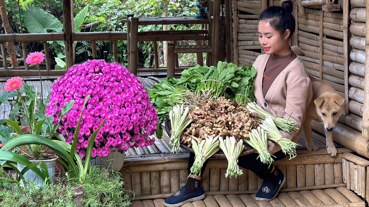 Harvest lemongrass, ginger, and bok choy to sell at the market
