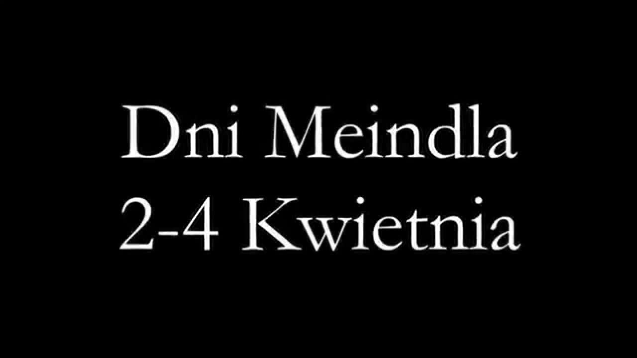 Dni meindla w TUTTU Katowice