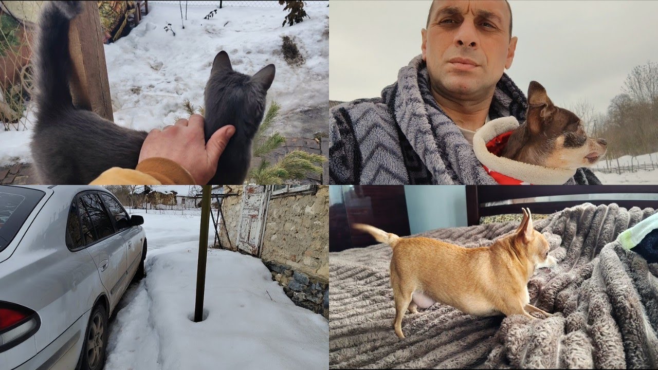 Жизнь переселенцев. Влог в селе