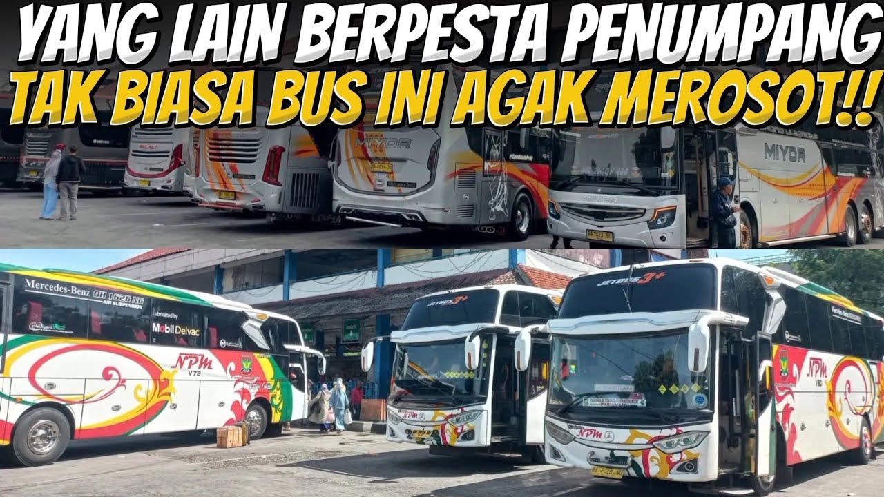 Miris‼️Terminal Membludak, Bus Legend Ini Malah Gak Dilirik Penumpang Menuju Sumbar?