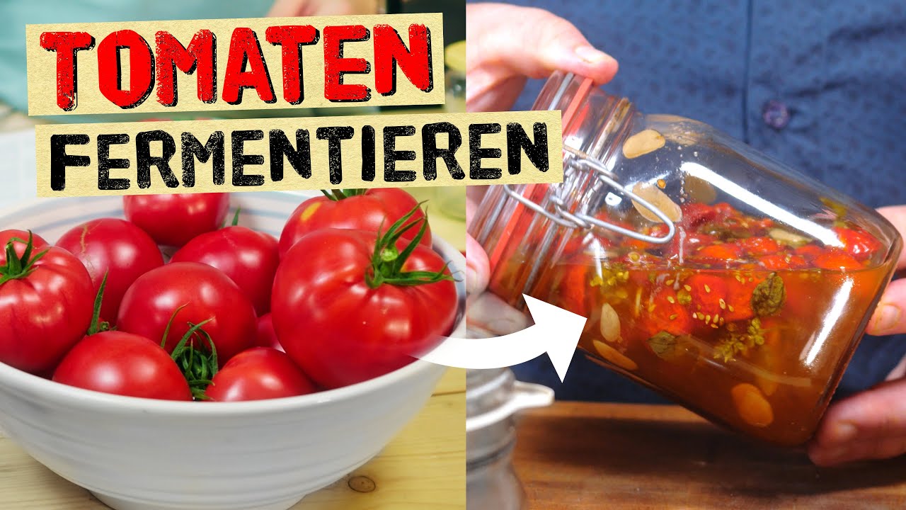 Tomaten durch Fermentation haltbar machen. Champagner Tomaten & Tomatenwasser - Fermentationsrezepte