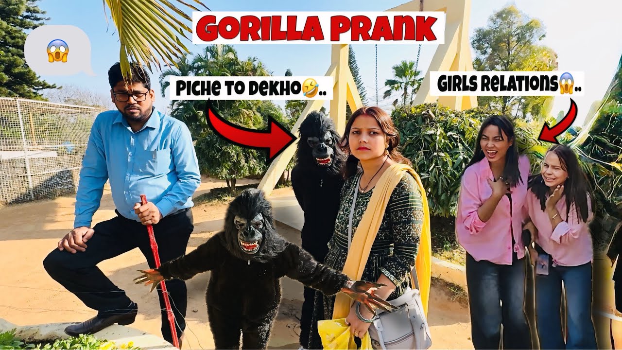 Gorilla ne sabki halat kharab kar di! 😂 Piche to dekho.end tak dekhna, maza aayega! 🦍🔥