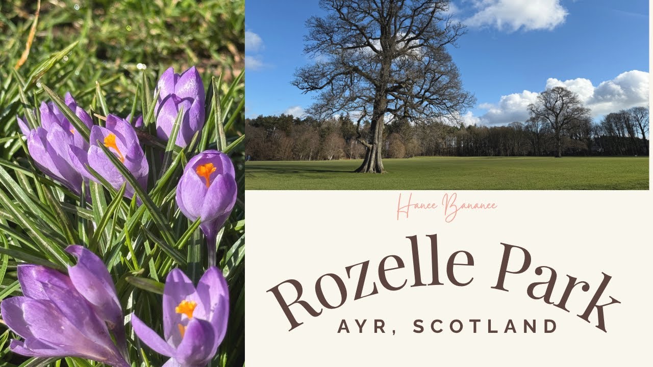 Rozelle Park Walkthrough  Squirrel Encounters, Fairy Tale Finds & Cozy Banter
