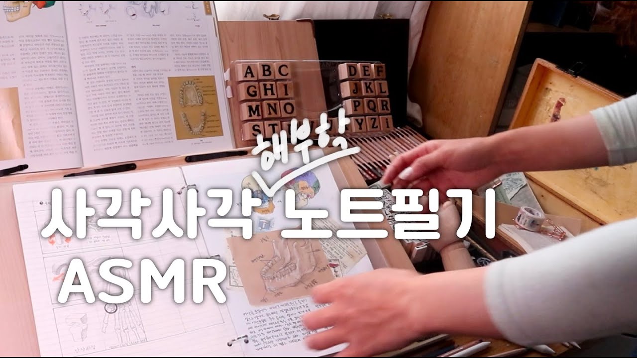릴렉스ASMR ｜사각사각 연필 소리｜ 만년필 필기소리｜해부학 노트필기 ASMR