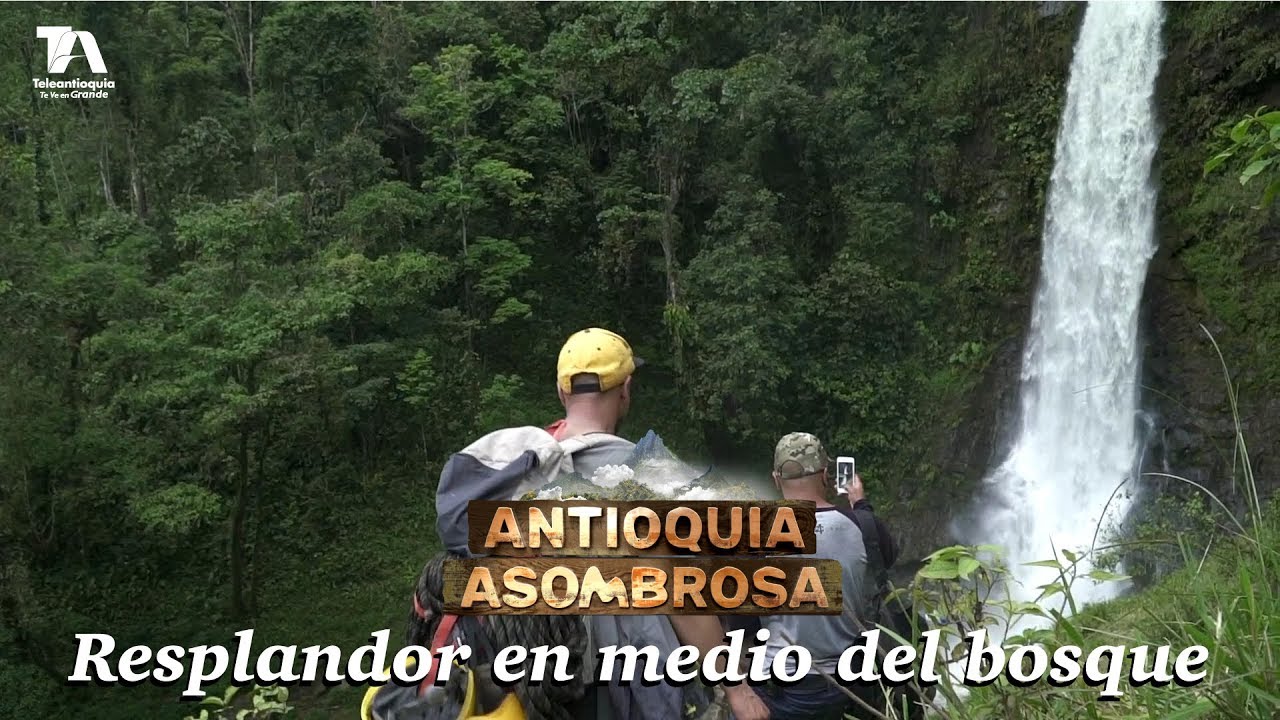 Antioquia Asombrosa, Yarumal: Resplandor en medio del bosque - Teleantioquia
