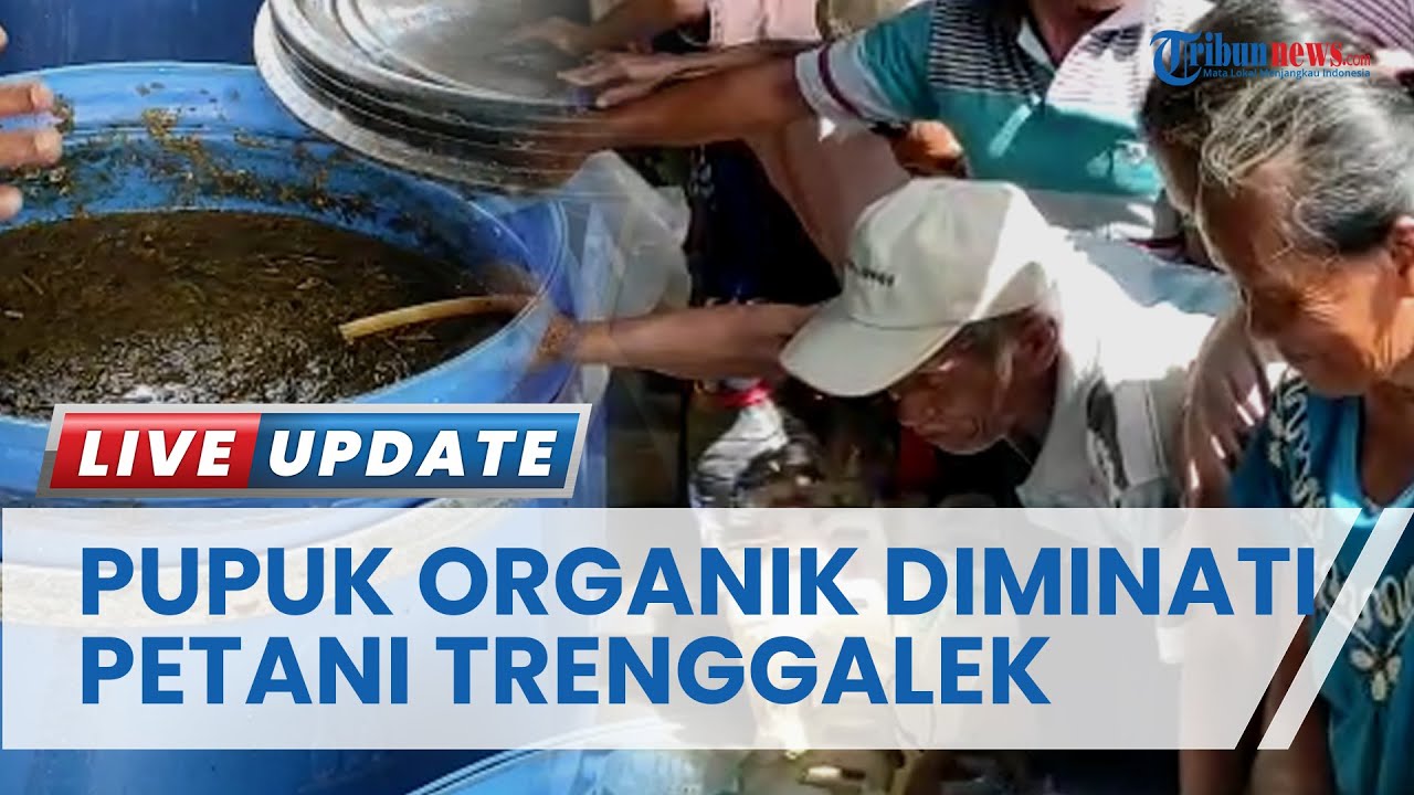 Pasca-resah Pupuk Subsidi Menipis, Petani di Trenggalek Kini Minati Pupuk Organik Cair (POC)