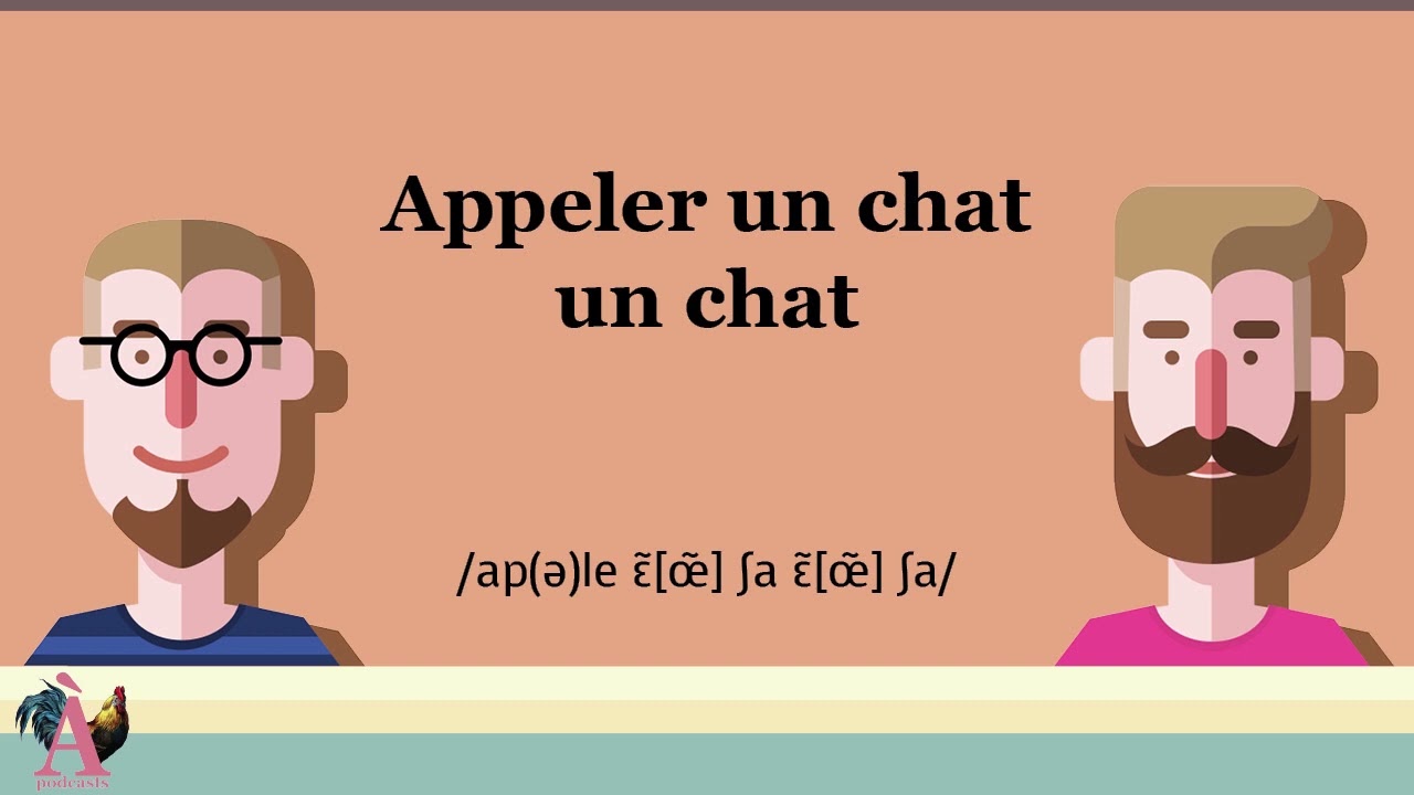 Appeler un chat un chat - Proverbe #99