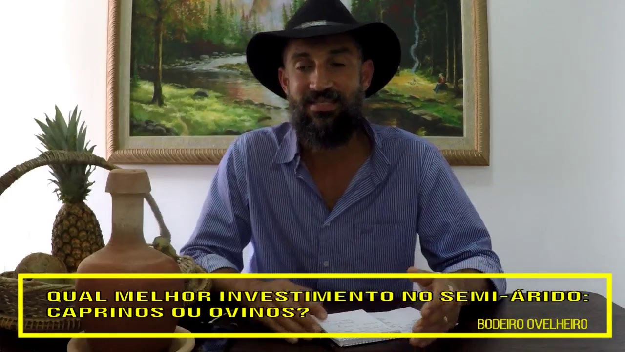No Semi-&aacute;rido &eacute; melhor investir em caprinos ou ovinos?