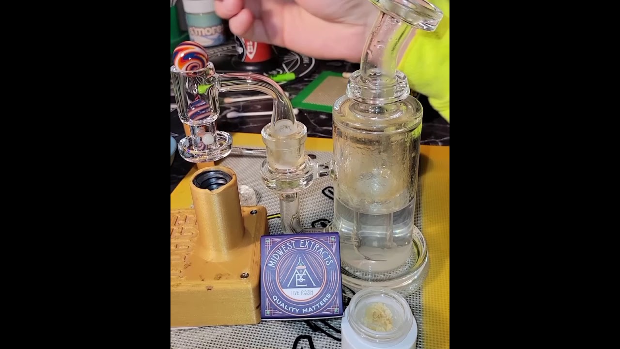 Banana punch live rosin
