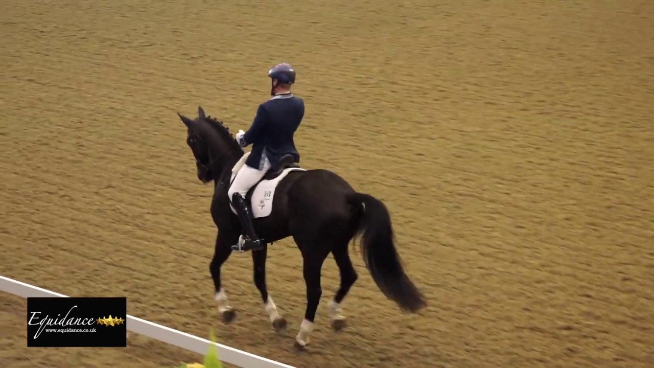 Martin Schleicher  - Faszination I, Novice Gold Freestyle