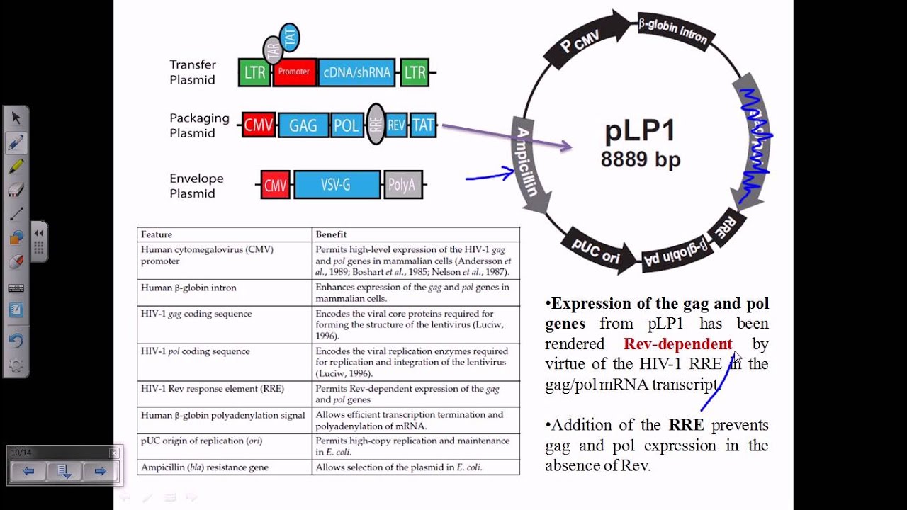 Gene therapy using retrovirus vector