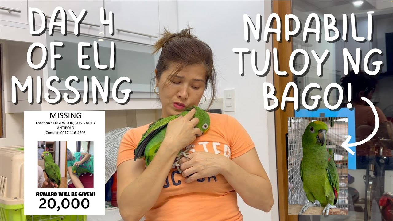 FINDING YELLOW CROWN AMAZON FOR 4 DAYS! Bumili pa ng bago kasi akala nawala na! | Murillo Bros