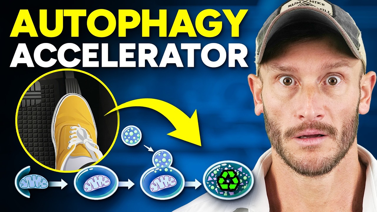 The Most Powerful Autophagy Amplifier to Use With Fasting