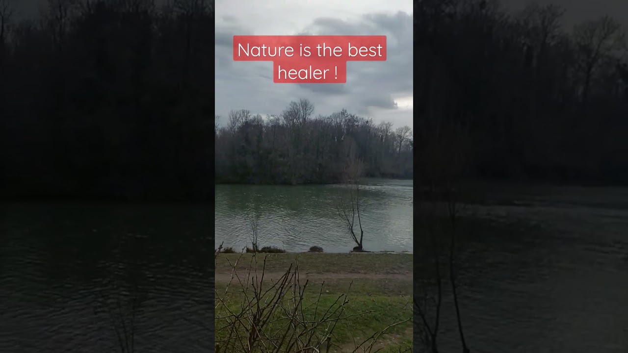 Marne river borders - France 🇫🇷  The beauty of nature #shorts