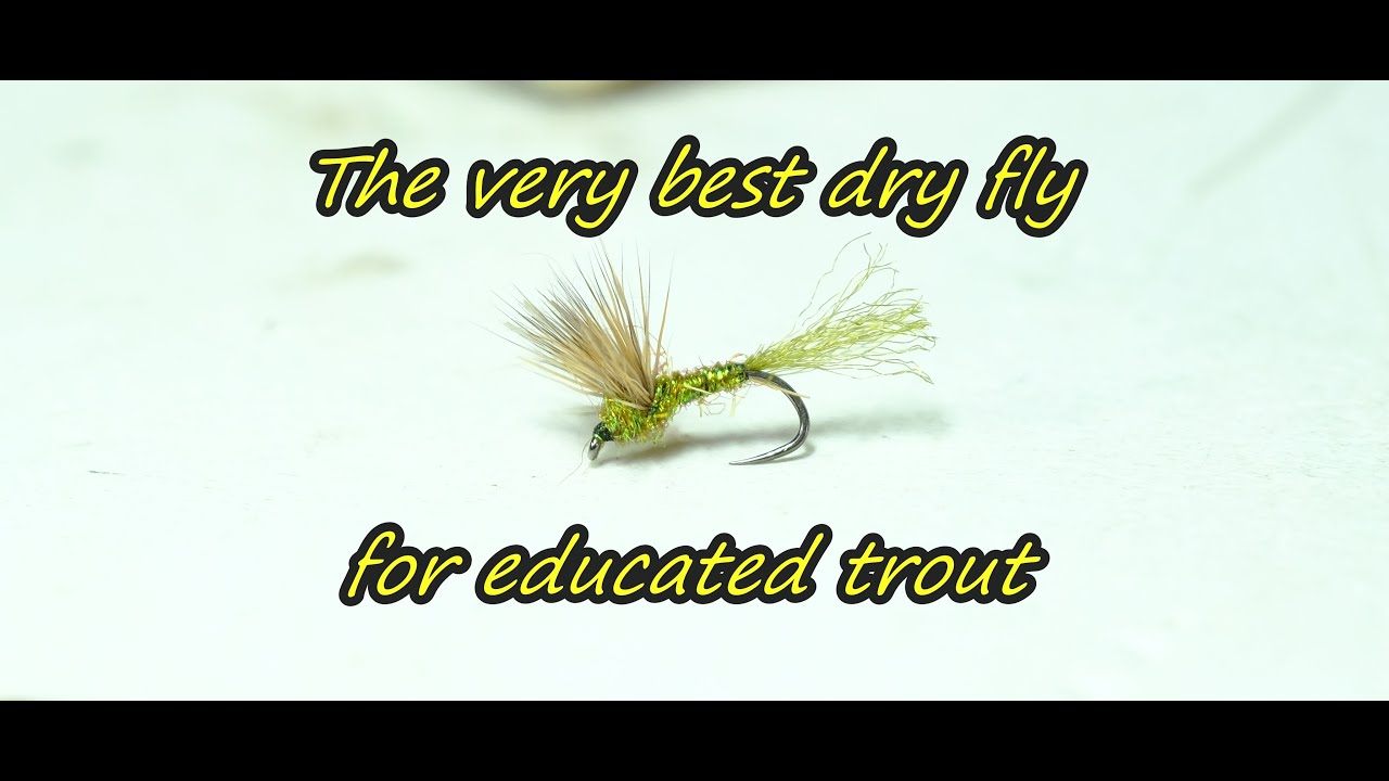 The very best fly for educated trout
