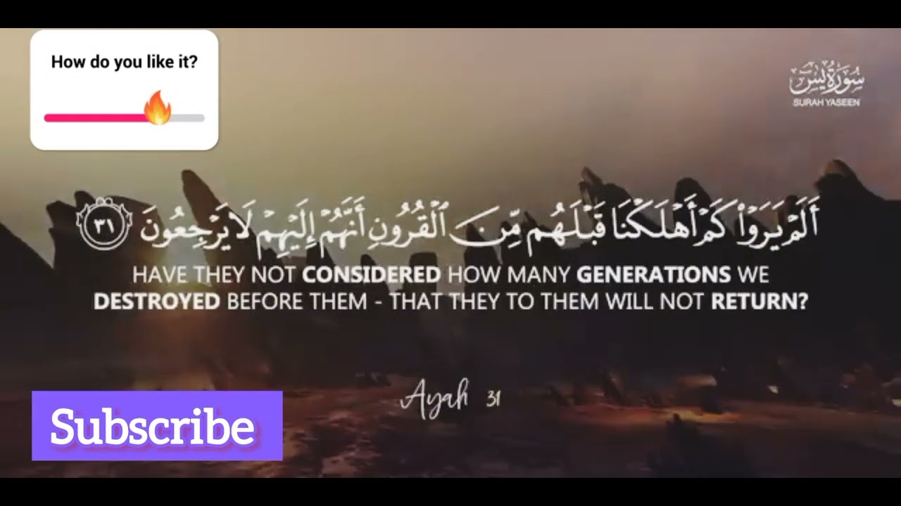 Beautiful recitation of surah yaseen | surah yaseen heals hearts | quran ki tilawat #quran 