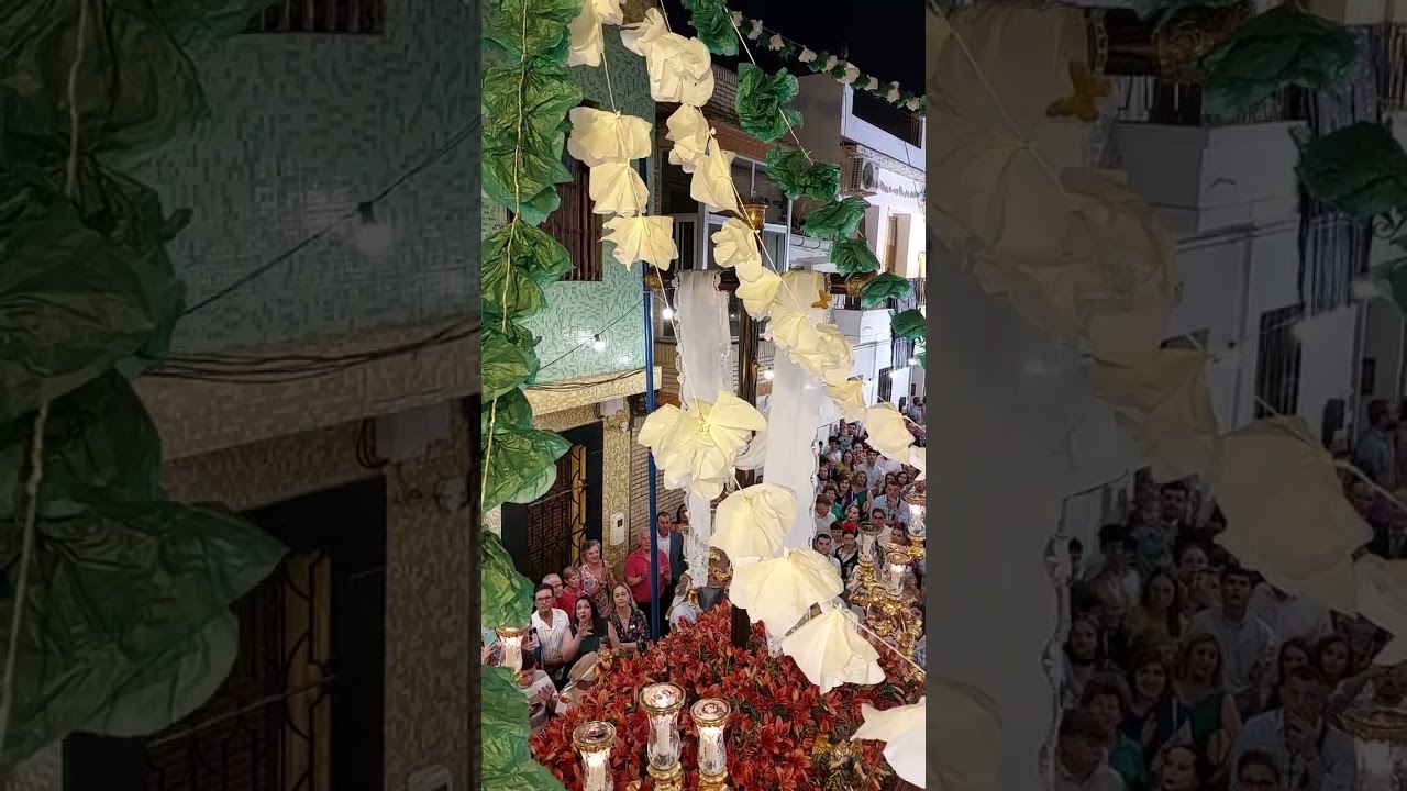 Procesión y petalada a la Santa Cruz de Brenes en Tabernas 2023