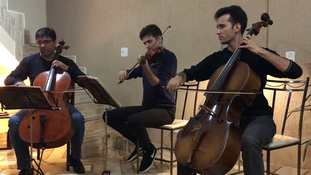 CCB Hino 313 - Arrebatado aos Céus - Trio de Cordas, Hinario n° 5