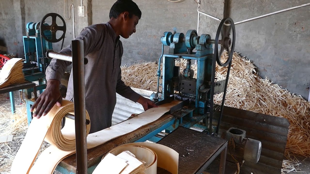 How Ice Cream Sticks Are Manufacturing in Factory