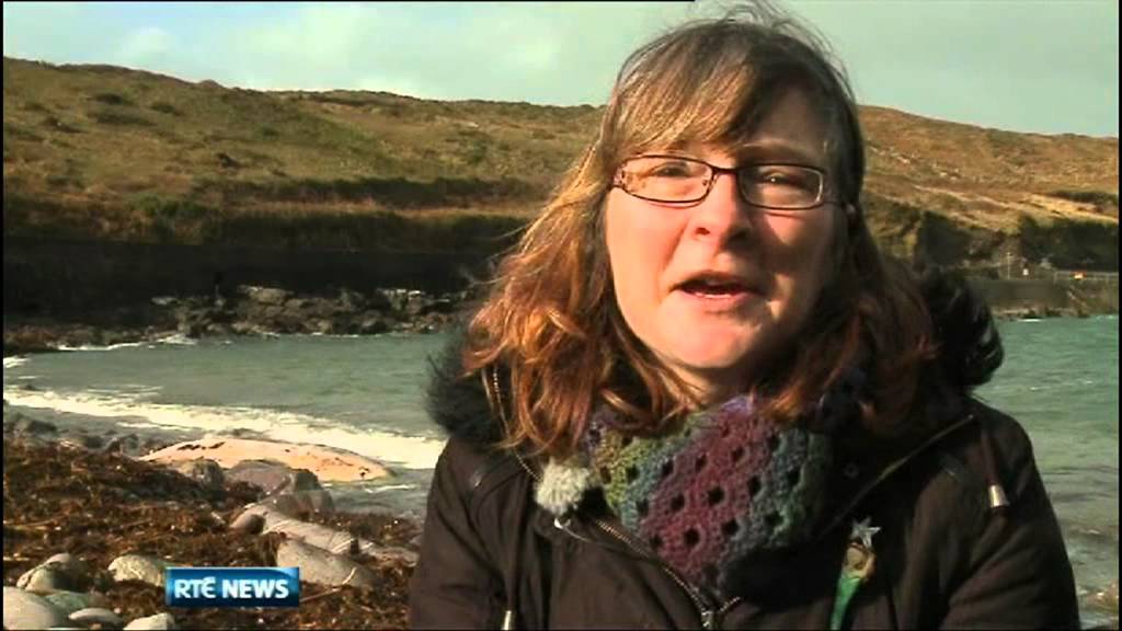 Upsurge in dolphin and whale strandings along Irish coast