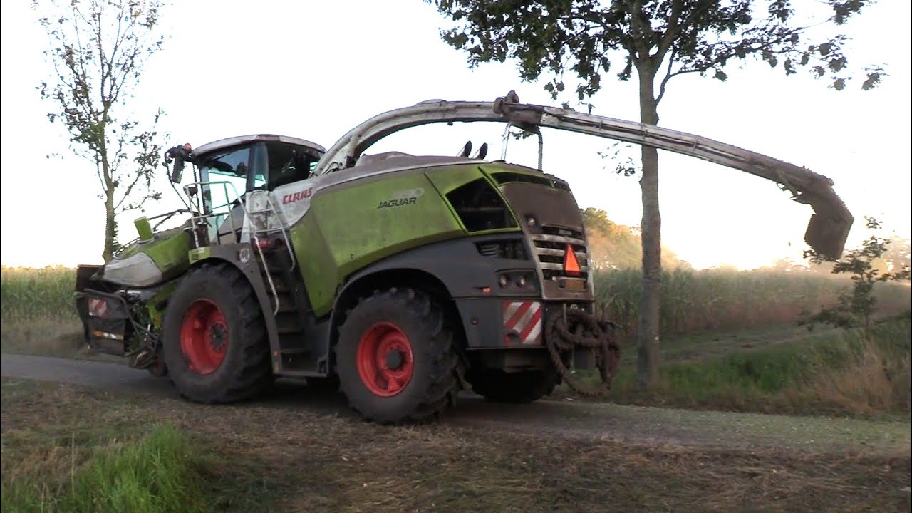Maïs 2025 | Claas 990 met een extra lange pijp | 3x4 asser USA Equipment | MF | 4 axel trailers