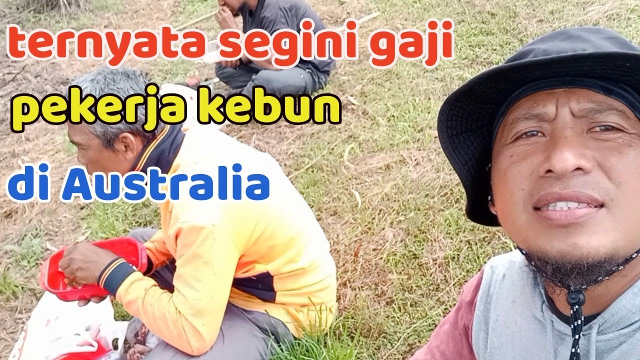 GAJI KERJA KEBUN DI AUSTRALIA