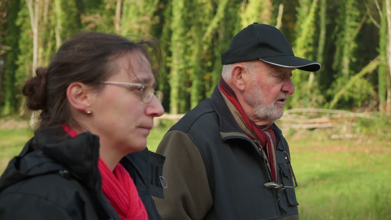 Restauration de cours d'eau et zones humides sur le bassin versant de la ria d’Etel