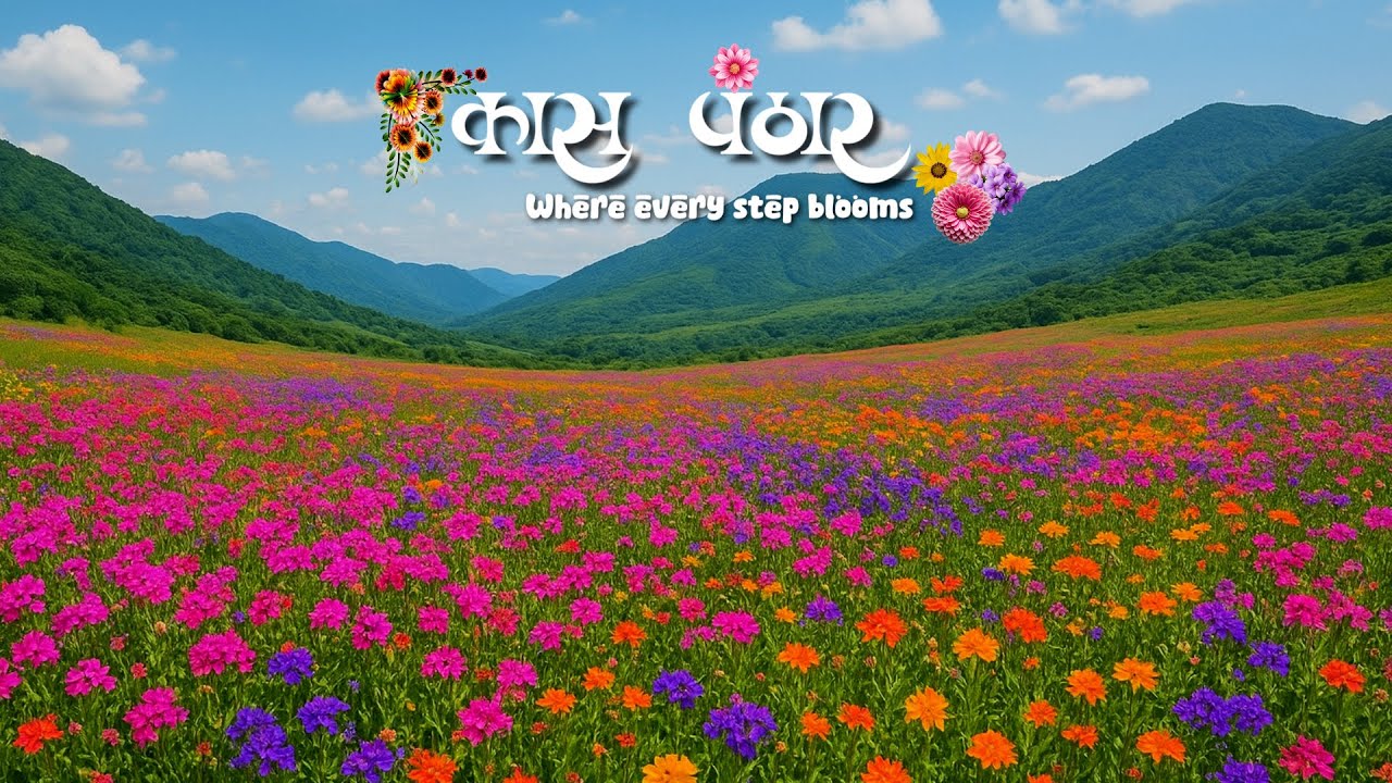 कास पठार  Kaas Pathar Satara | Unseen Beauty of Maharashtra @JBVlogsofficial