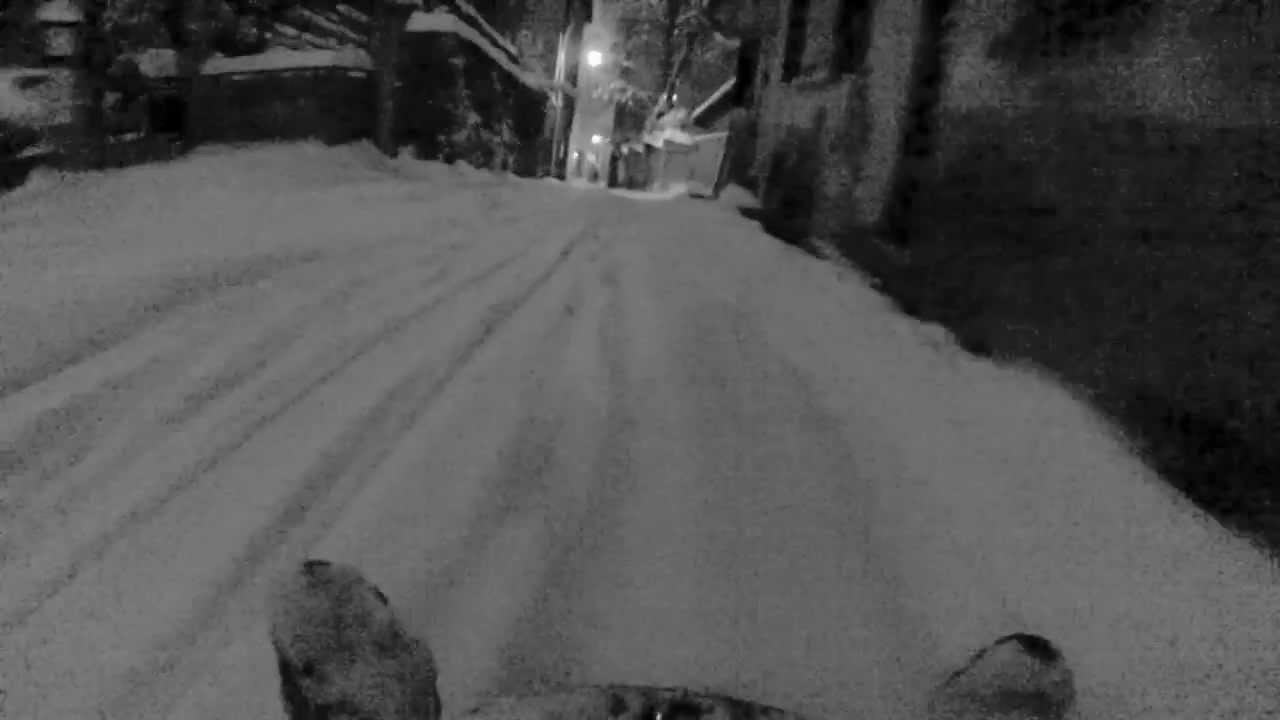 Descente en luge de la Rue des Châteaux à Sion