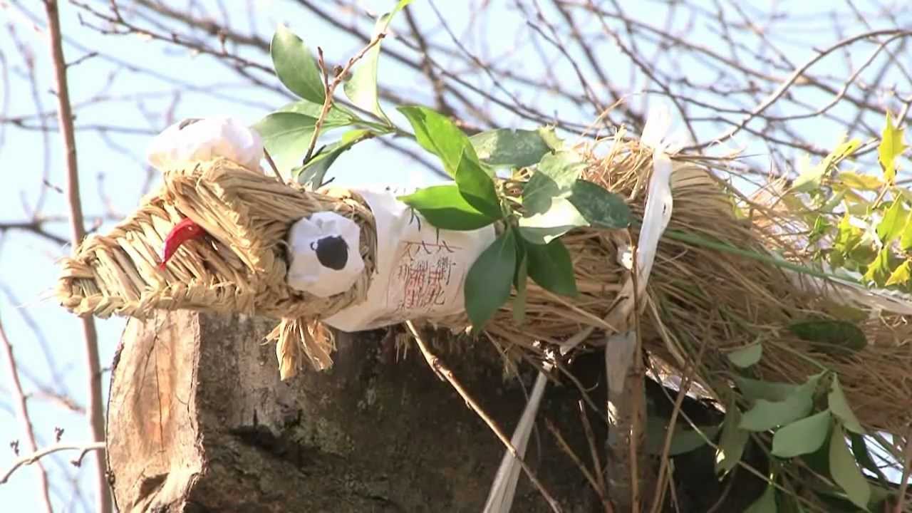 佐倉に伝わる風習　「井野の辻切り」（2013/1/25）佐倉市