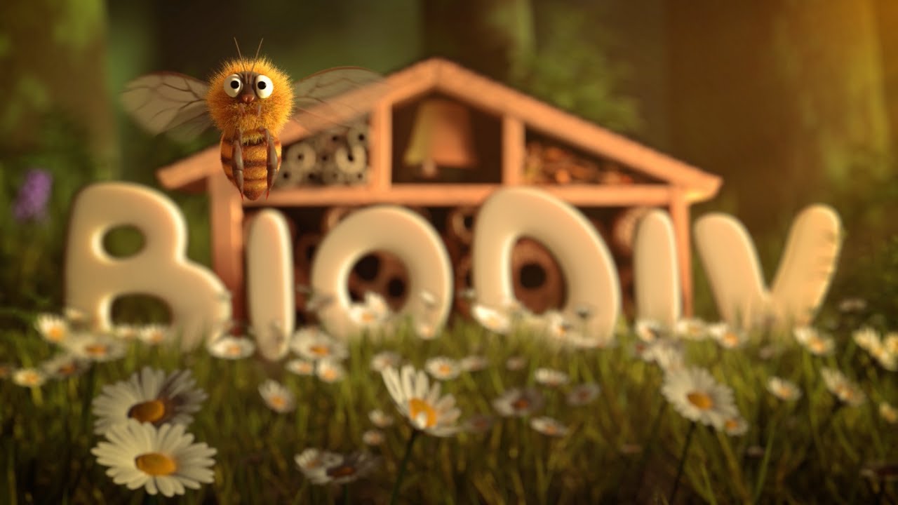 L'HÔTEL À INSECTES EST-IL UTILE ? (CAPSULE 8 - BIODIV)
