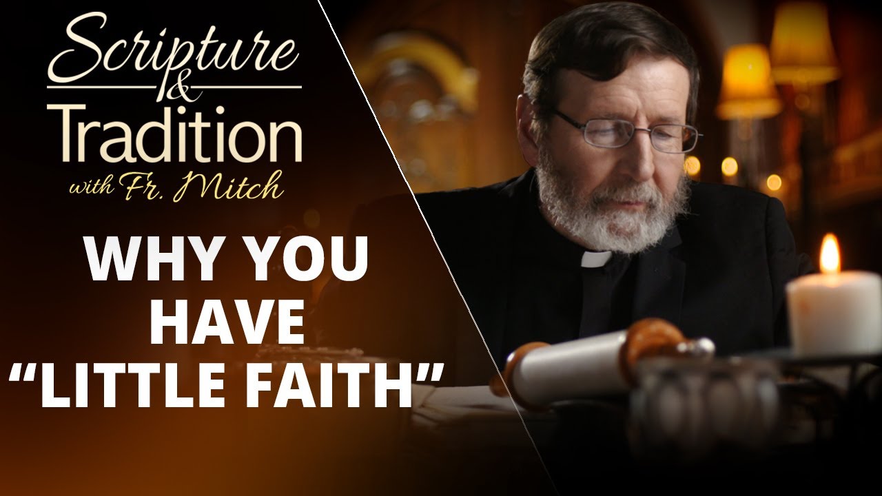 Scripture and Tradition with Fr. Mitch Pacwa - 2022-11-01 - Praying with the Gospels - Jmg Pt. 14