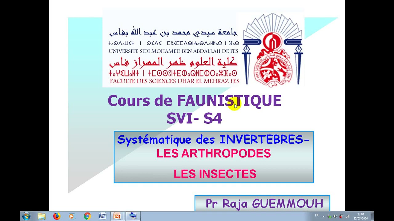 cours de faunistique svi s4 les arthropodes les insectes