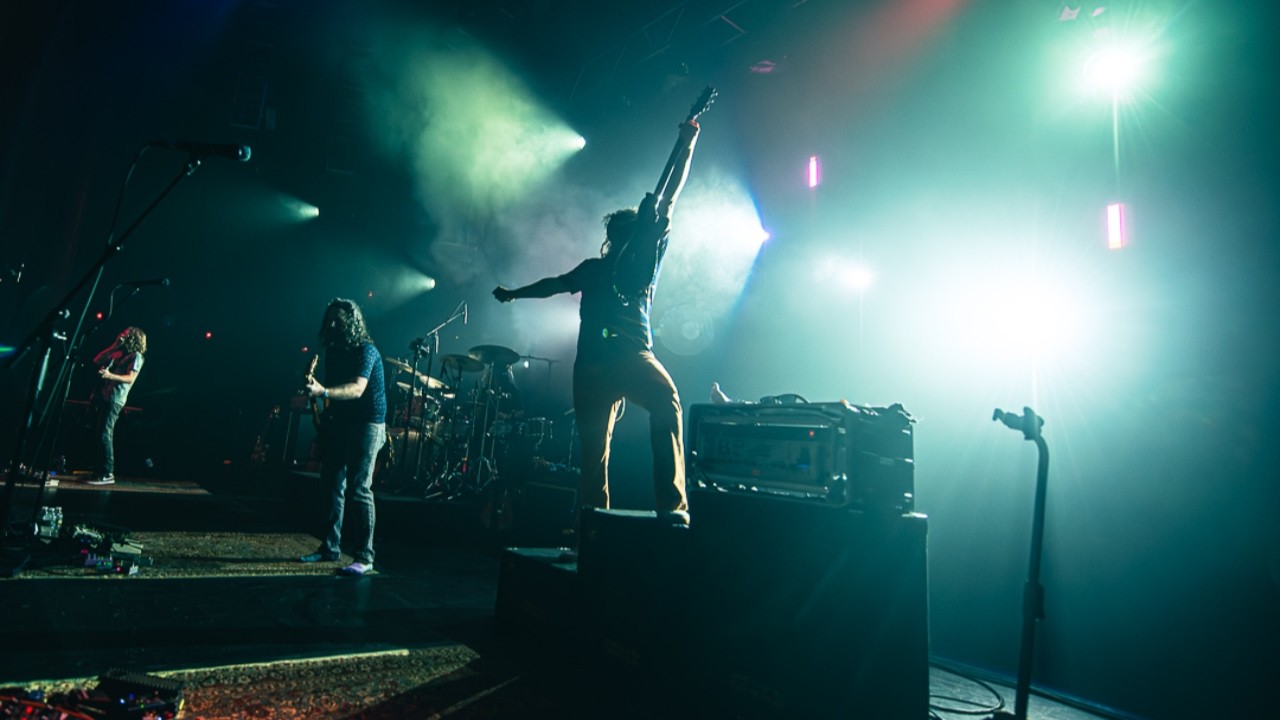 Pigeons Playing Ping Pong: 