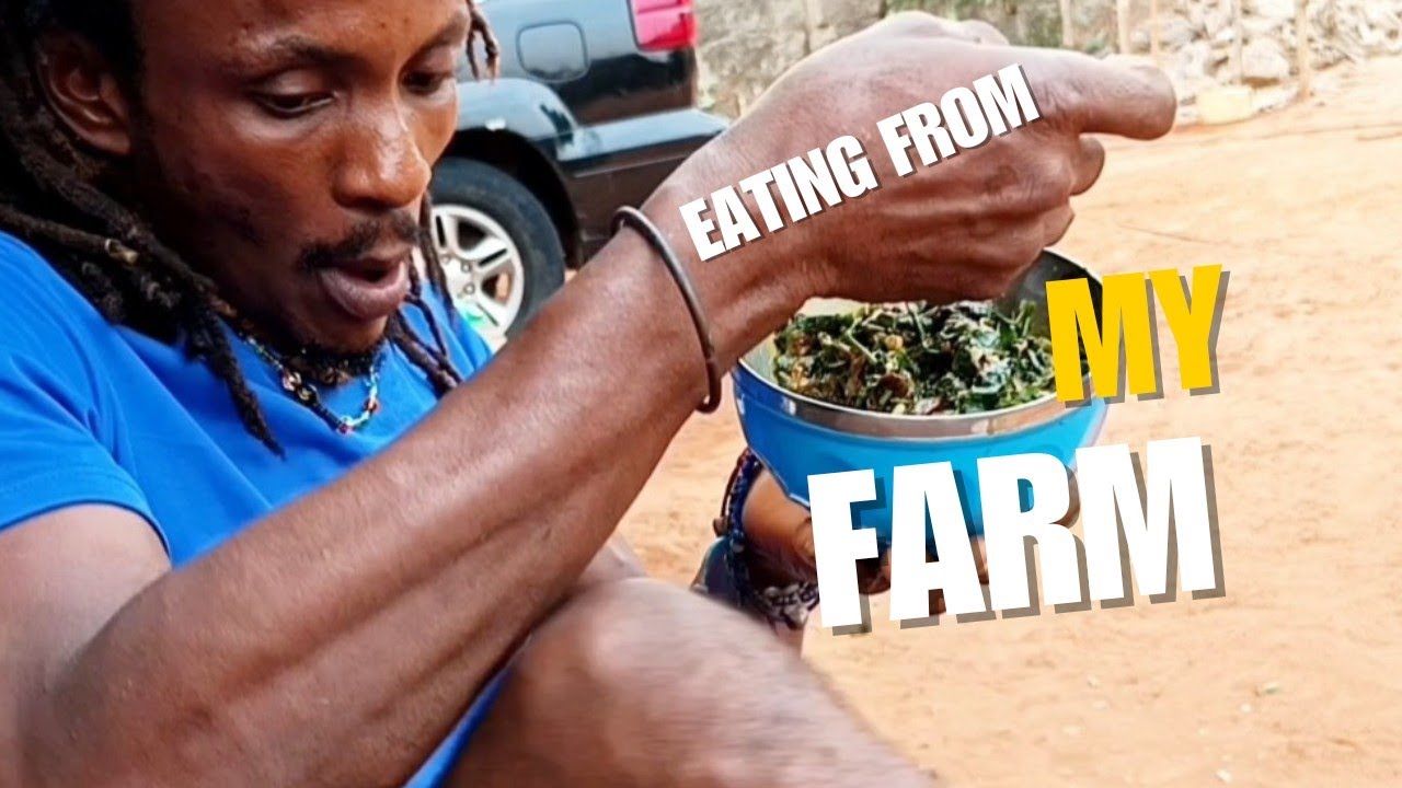 From farm 2 🍯pot#agriculture #farming and eating from farm hihi