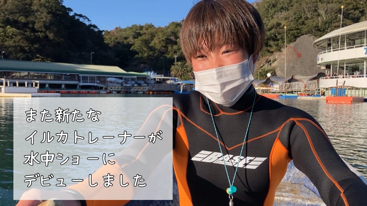 また新たなイルカトレーナーが水中ショーにデビューしました