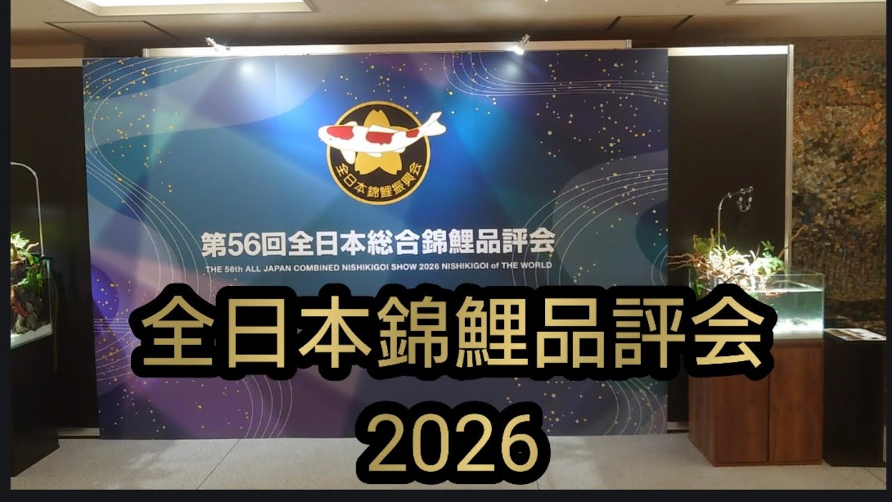 全日本錦鯉品評会 2026