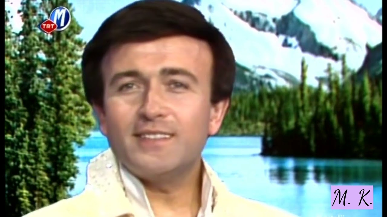 Erol Evgin-sitem (önde zeytin ağaçları)